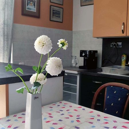 Apartman Ulehla Zlin Bagian luar foto