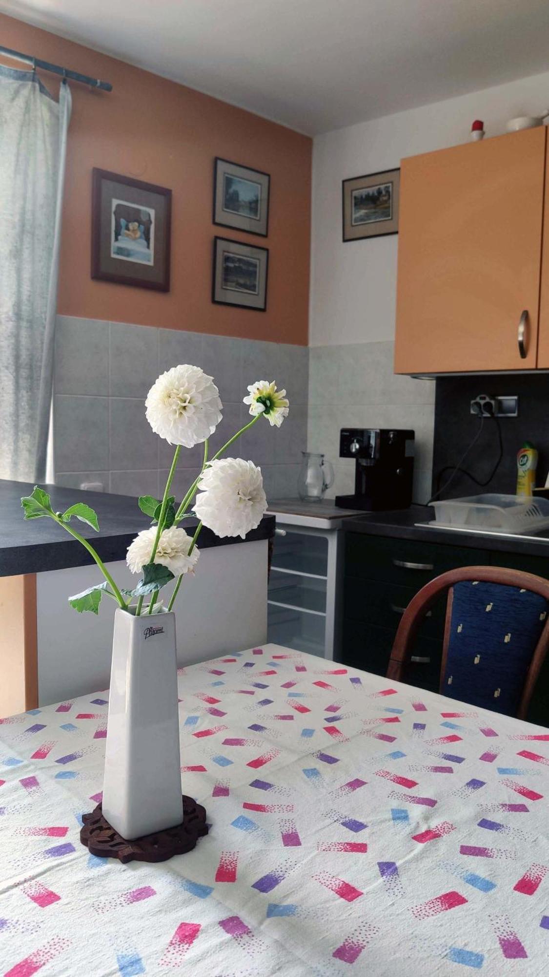 Apartman Ulehla Zlin Bagian luar foto